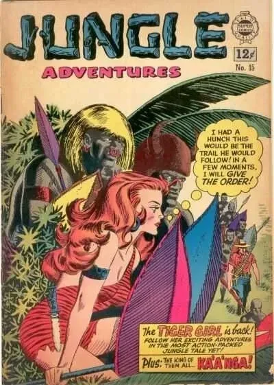 Cover of Issue #15