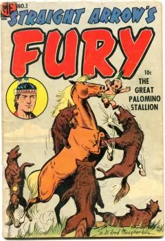 Cover of Straight Arrow's Fury