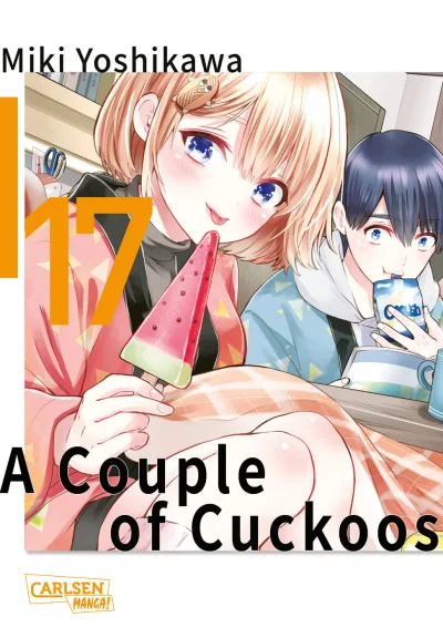 Cover of Issue #17
