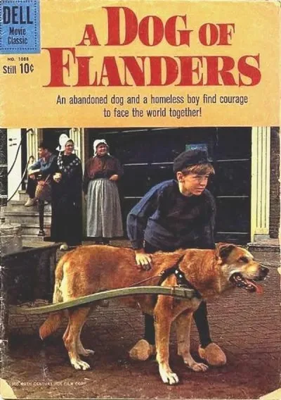 Cover of A Dog in Flanders