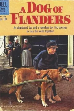 A Dog in Flanders