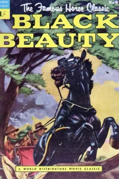 Black Beauty