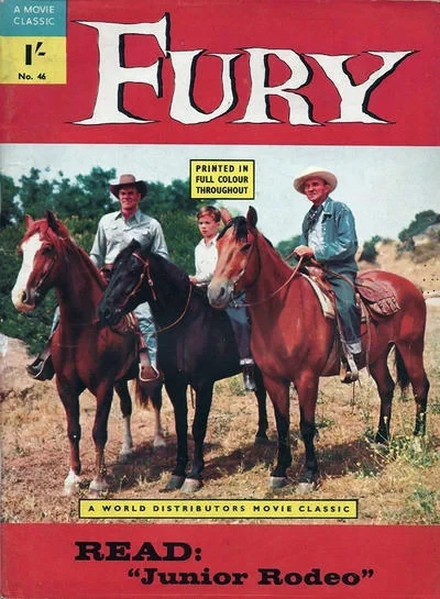Cover of Fury