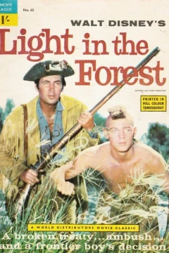 Light in the Forest