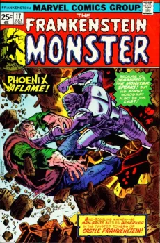 Cover of A Phoenix Berserk!