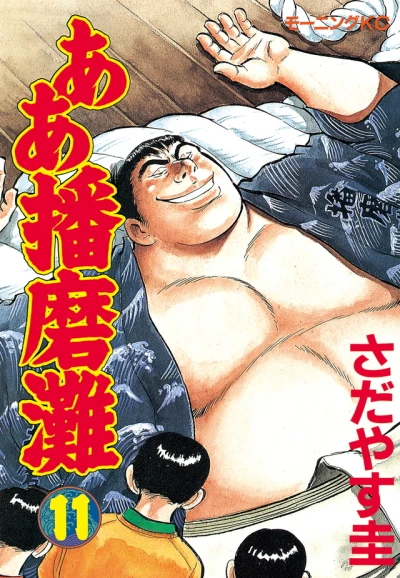 Cover of Vol. 11