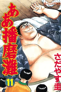Vol. 11