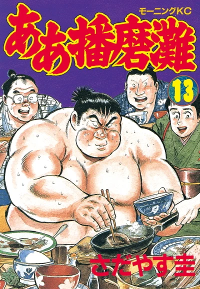 Cover of Vol. 13