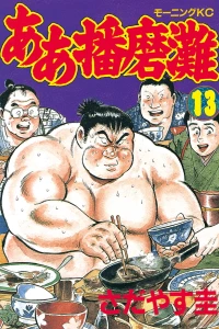 Vol. 13