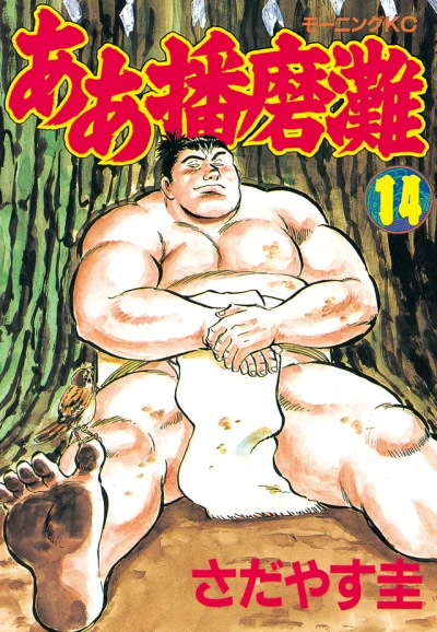 Cover of Vol. 14