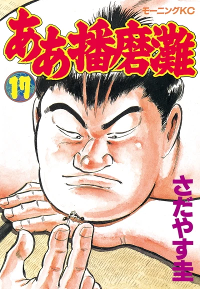 Cover of Vol. 17