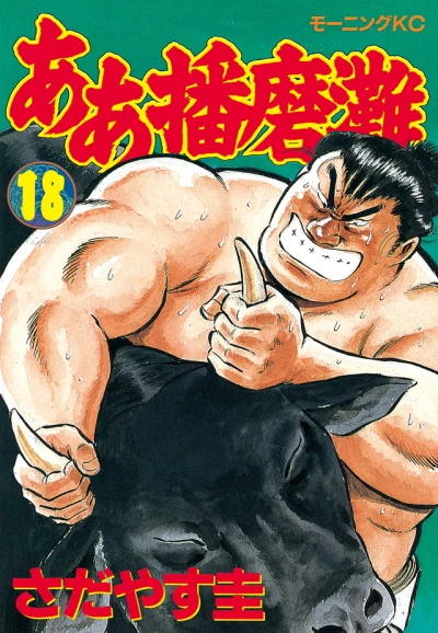 Cover of Vol. 18