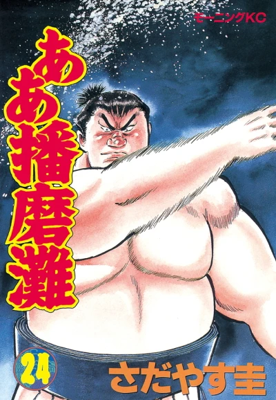 Cover of Vol. 24