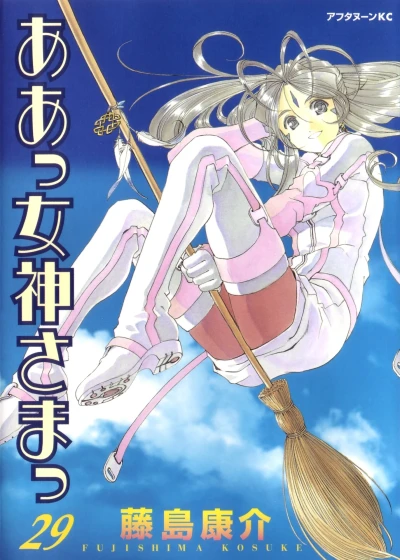Cover of Vol. 29