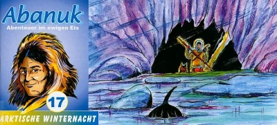 Cover of Arktische Winternacht