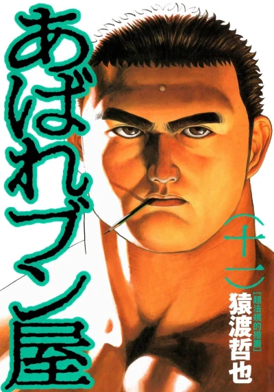 Cover of Vol. 11