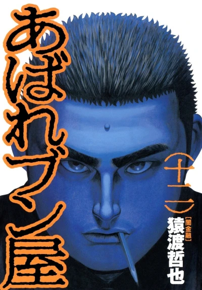 Cover of Vol. 12