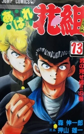 Cover of Vol. 13