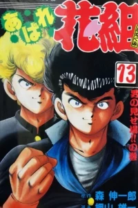 Vol. 13