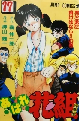 Cover of Vol. 17