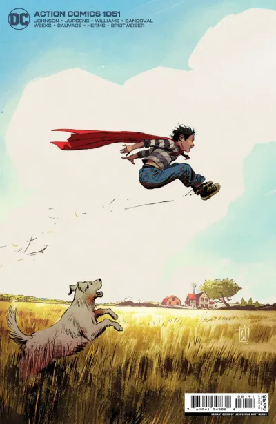 Cover of Lee Weeks Variant