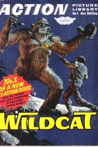 Wildcat