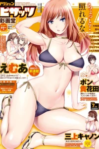 Issue #747