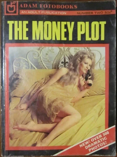 Cover of The Money Plot