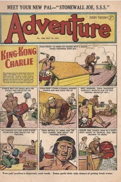 Issue #1382