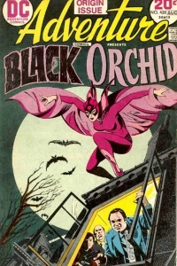 Black Orchid