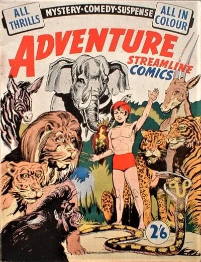 Cover of Issue #1
