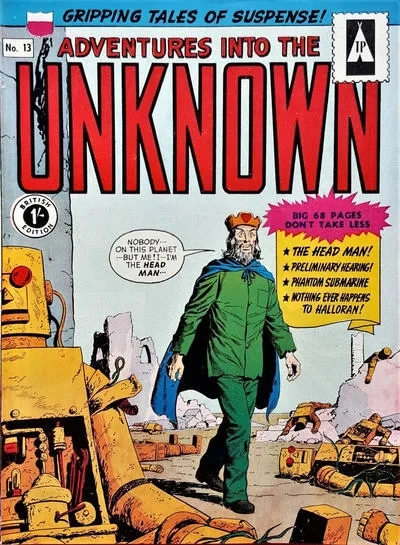 Cover of Issue #13