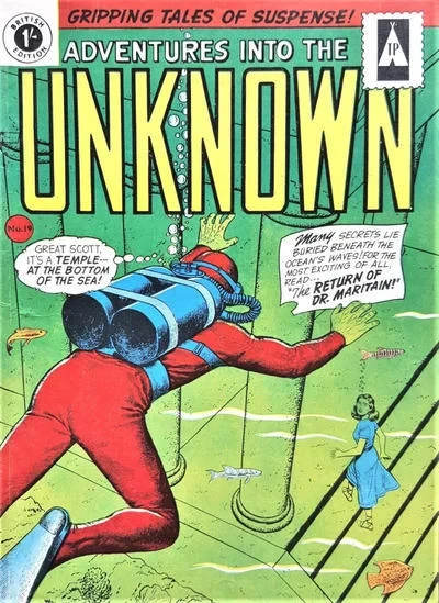 Cover of Issue #19