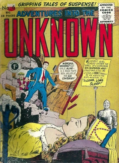 Cover of Issue #6