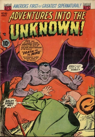 Cover of Death on the Wing!