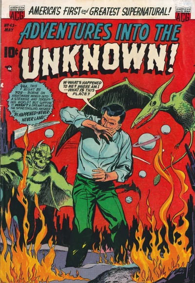 Cover of It Happened in Never-Never Land!