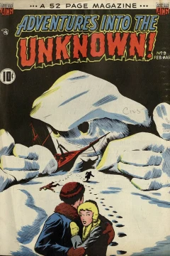 Shadow of the Panther