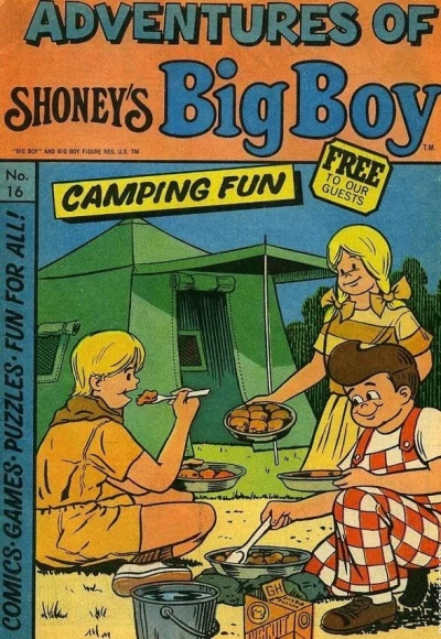 Cover of Camping Fun