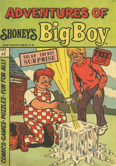 Cover of Solar Energy Surprise