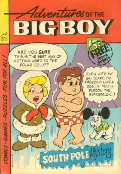 Cover of South Pole Mystery