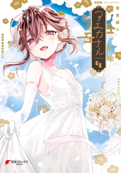 Cover of Vol. 4