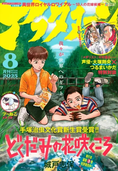 Cover of No. 8, 2025