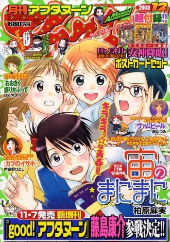 Cover of No. 12, 2008