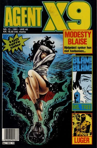 Cover of Issue #199113