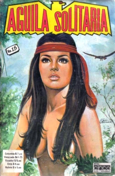 Cover of Issue #15