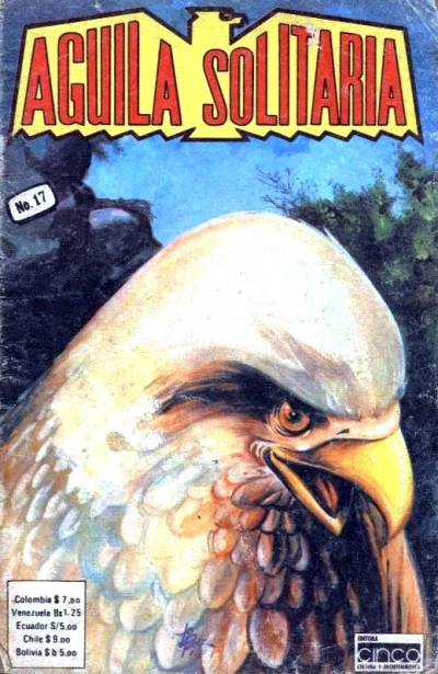 Cover of Issue #17