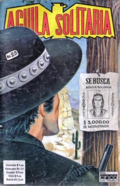 Cover of Issue #25