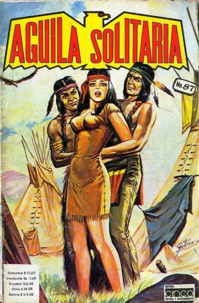 Cover of Issue #87