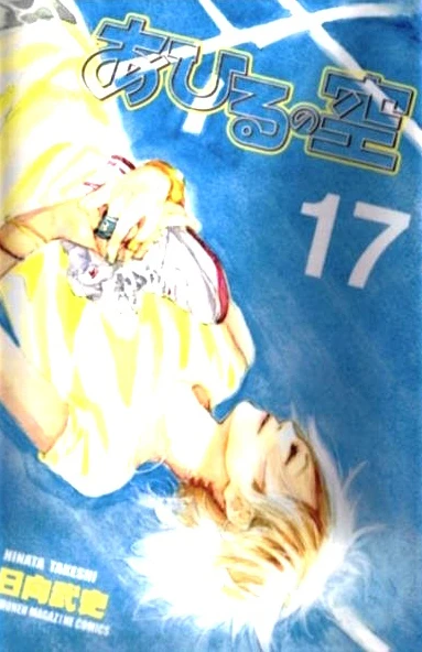 Cover of Vol. 17