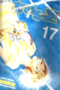 Vol. 17